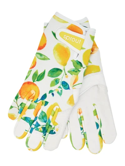 55gac Sprout Gloves Amalfi Citrus