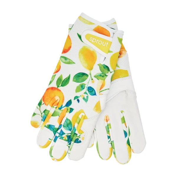 55gac Sprout Gloves Amalfi Citrus