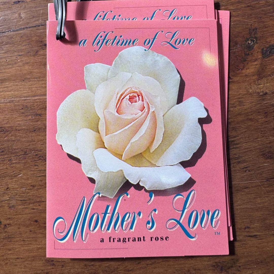 Untitled Design (31)